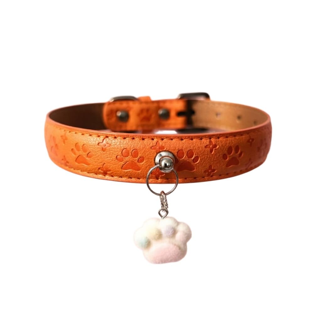 LQBWSAUDX Pet Collar with Charm