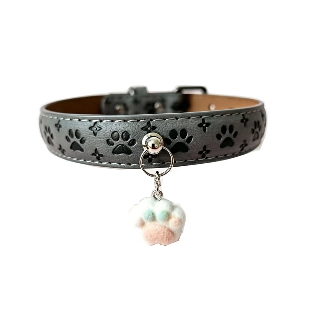 LQBWSAUDX Pet Collar with Charm