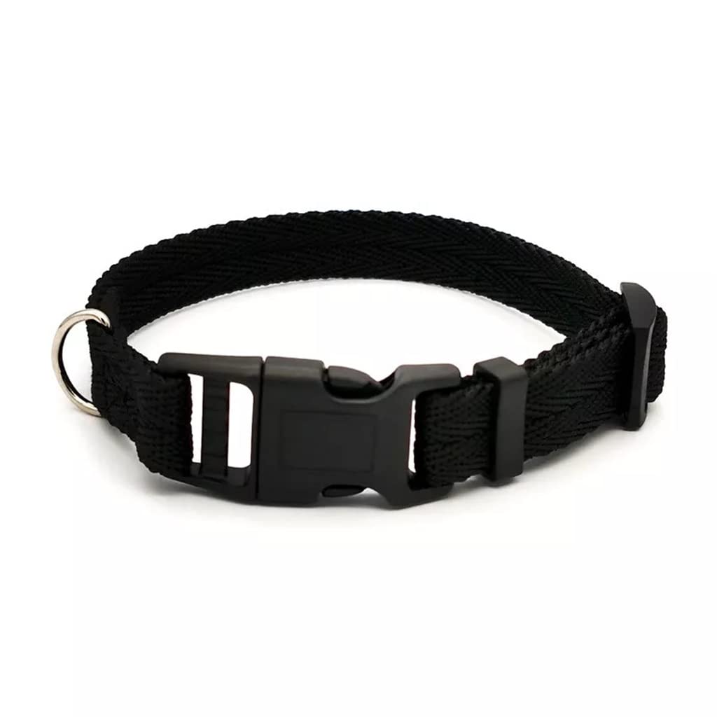 Adjustable Nylon Webbing Dog Collar