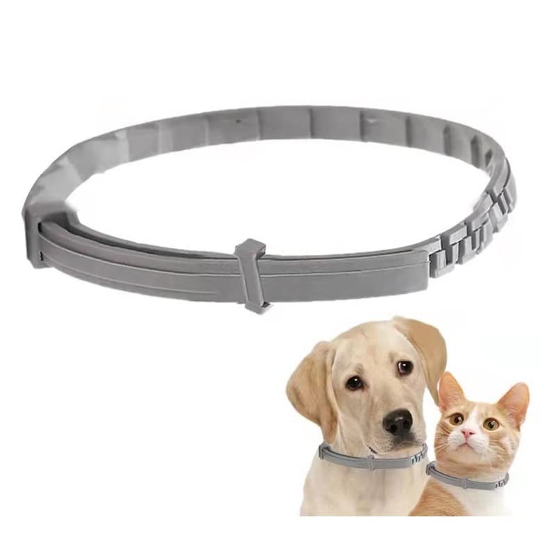 ONMYJFD Collars for Dogs and Cats Adjustable Pet