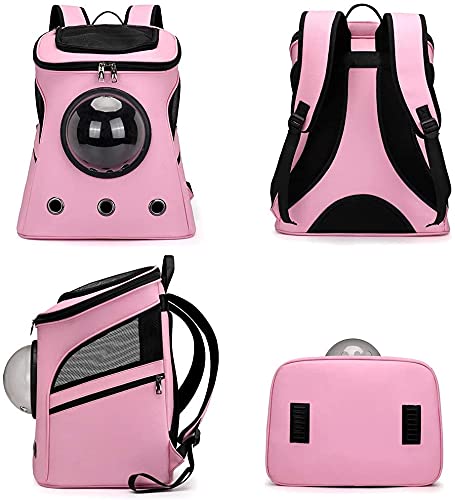 Expandable Foldable Pet Carrier Backpack