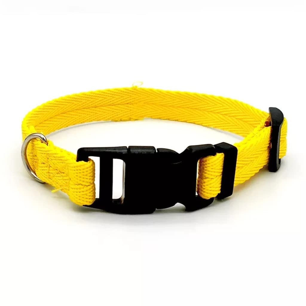 Adjustable Nylon Webbing Dog Collar