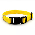 Adjustable Nylon Webbing Dog Collar
