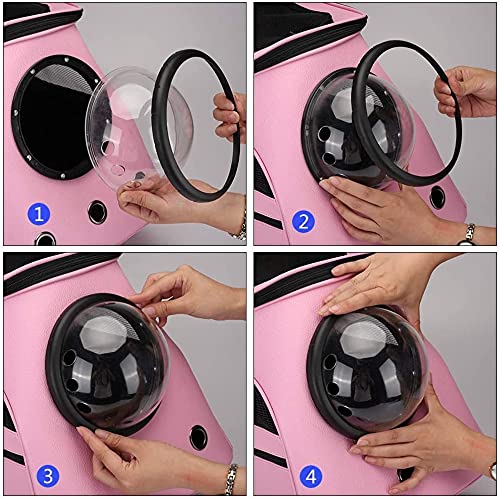 Expandable Foldable Pet Carrier Backpack