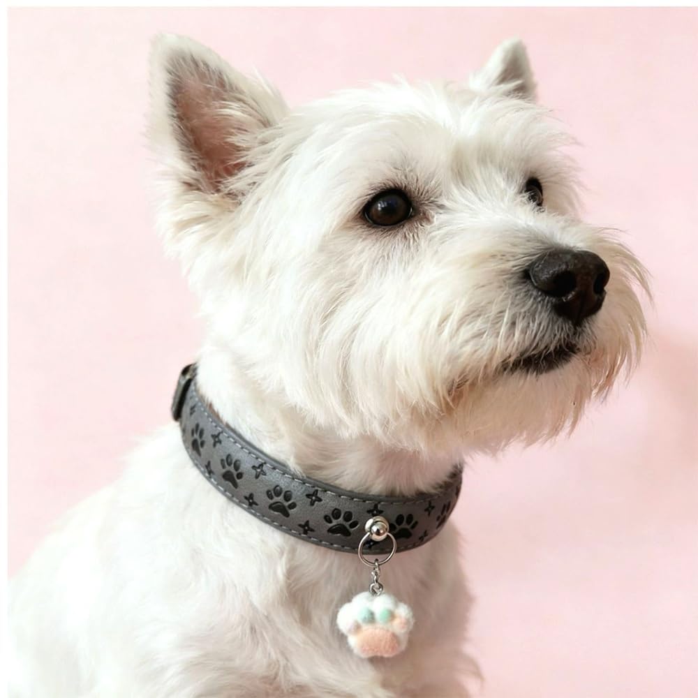 LQBWSAUDX Pet Collar with Charm