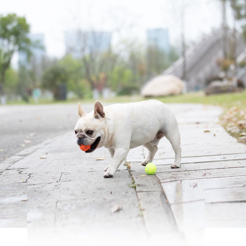 WIGGLYTAIL Automatic Ball Launcher for Dogs