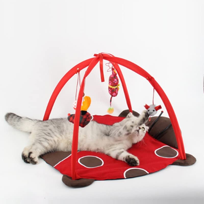 Detachable Cat Play Tent with Hanging Toy