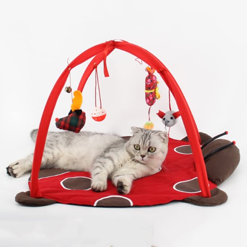 Detachable Cat Play Tent with Hanging Toy