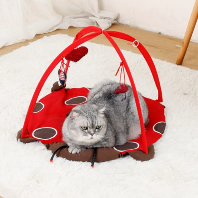 Detachable Cat Play Tent with Hanging Toy