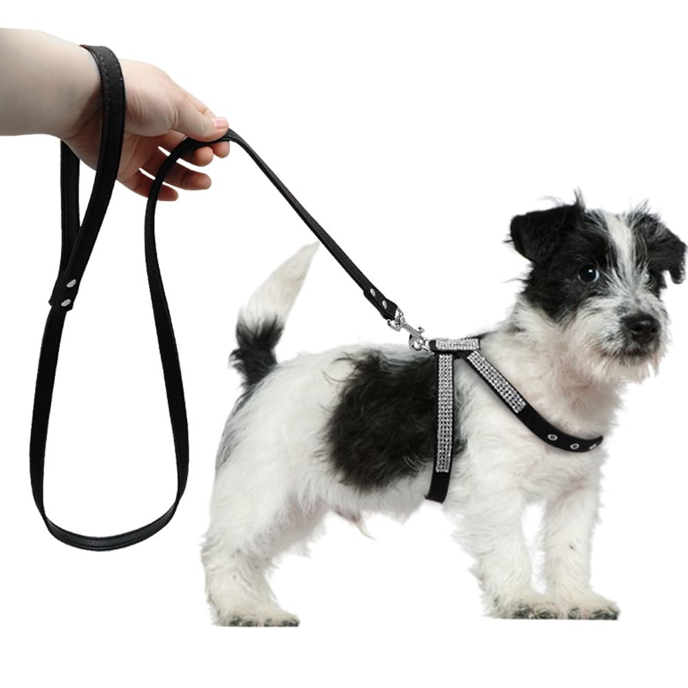 Rhinestone Leather Pet Harness & Leash Set