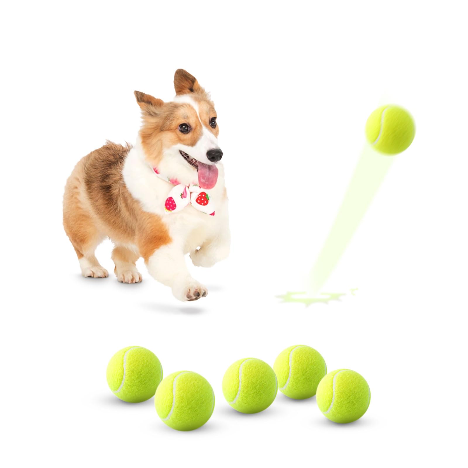 Automatic Dog Ball Launcher with Adjustable Distance