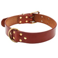 Genuine Leather Dog Collar with D-Ring & Buckle