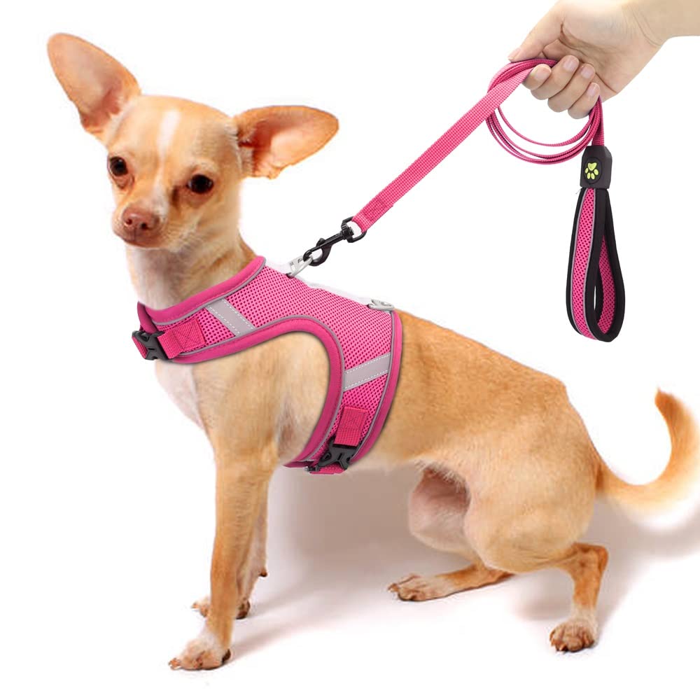 Reflective Breathable Mesh Dog Harness & Leash Set