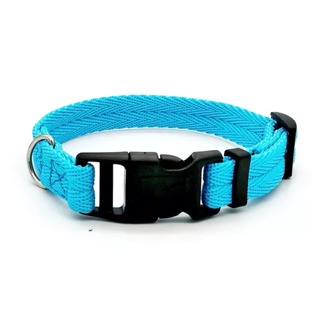 Adjustable Nylon Webbing Dog Collar