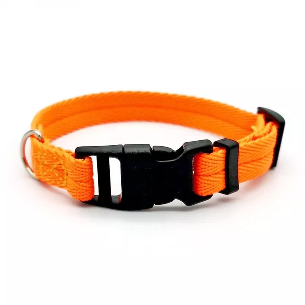 Adjustable Nylon Webbing Dog Collar