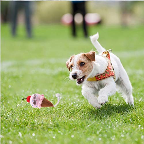 Cartoon Animal Plush Squeaky Pet Toy