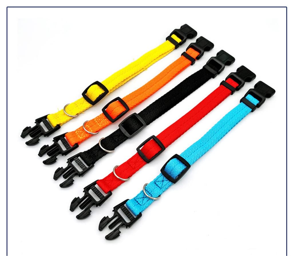 Adjustable Nylon Webbing Dog Collar