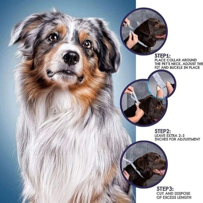 ONMYJFD Collars for Dogs and Cats Adjustable Pet