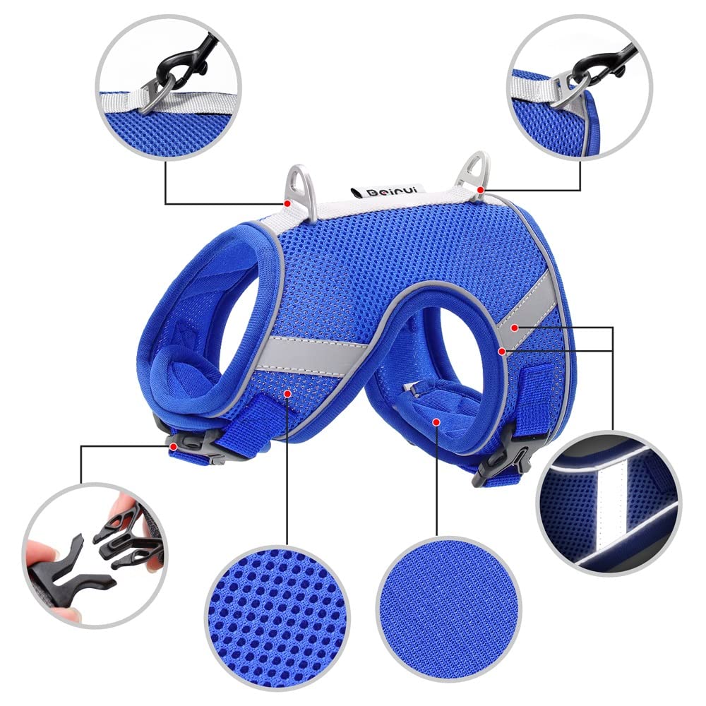 Reflective Breathable Mesh Dog Harness & Leash Set