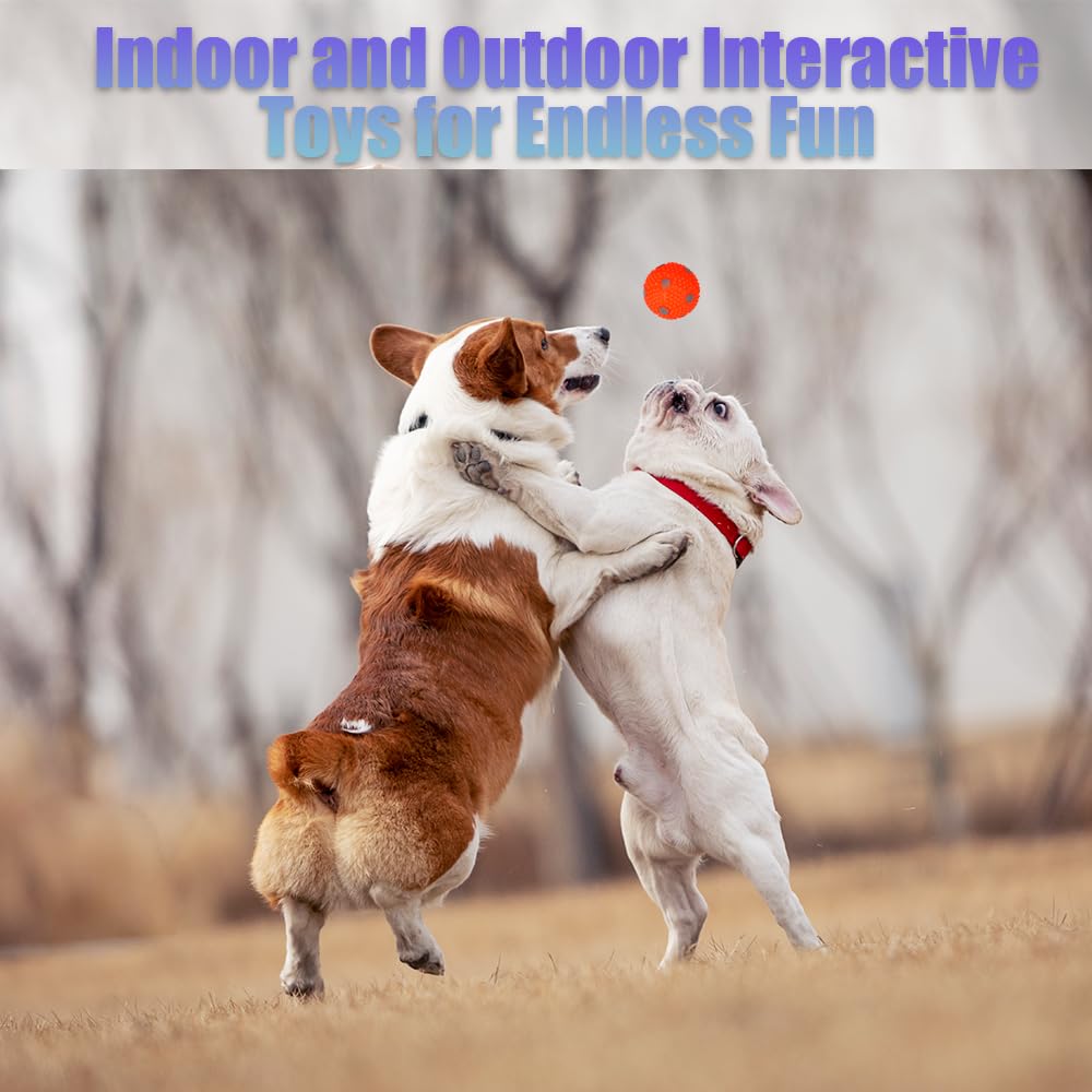 WIGGLYTAIL Automatic Ball Launcher for Dogs