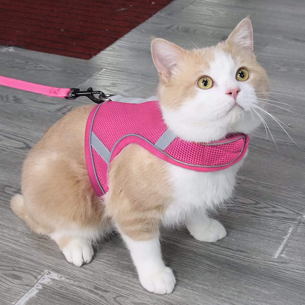Reflective Breathable Mesh Dog Harness & Leash Set
