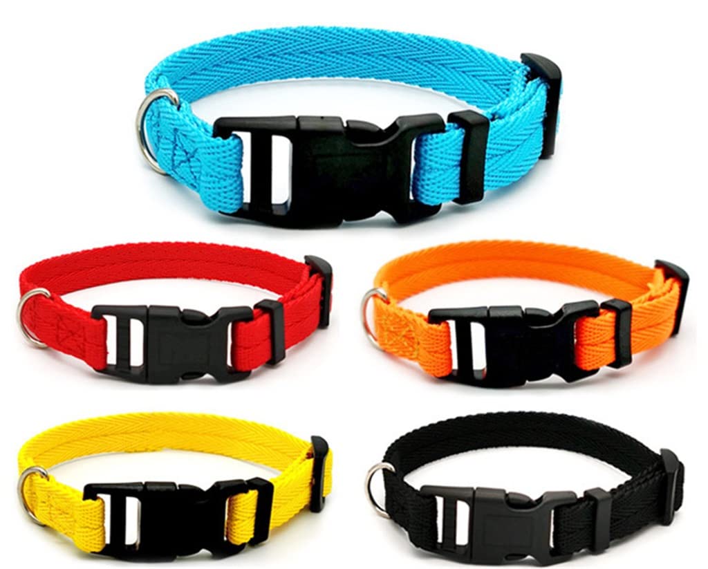 Adjustable Nylon Webbing Dog Collar