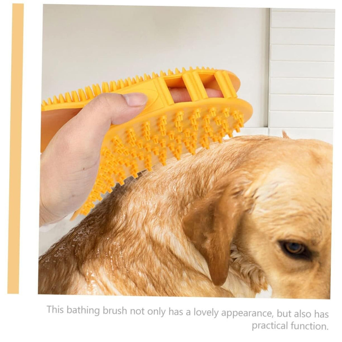 10-Piece 2-in-1 Pet Cleaning & Massage Brush Set