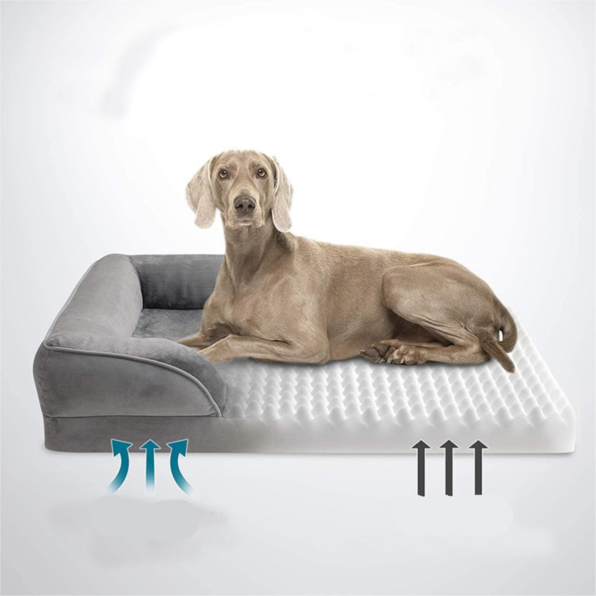 Removable Washable Dog Sofa Bed