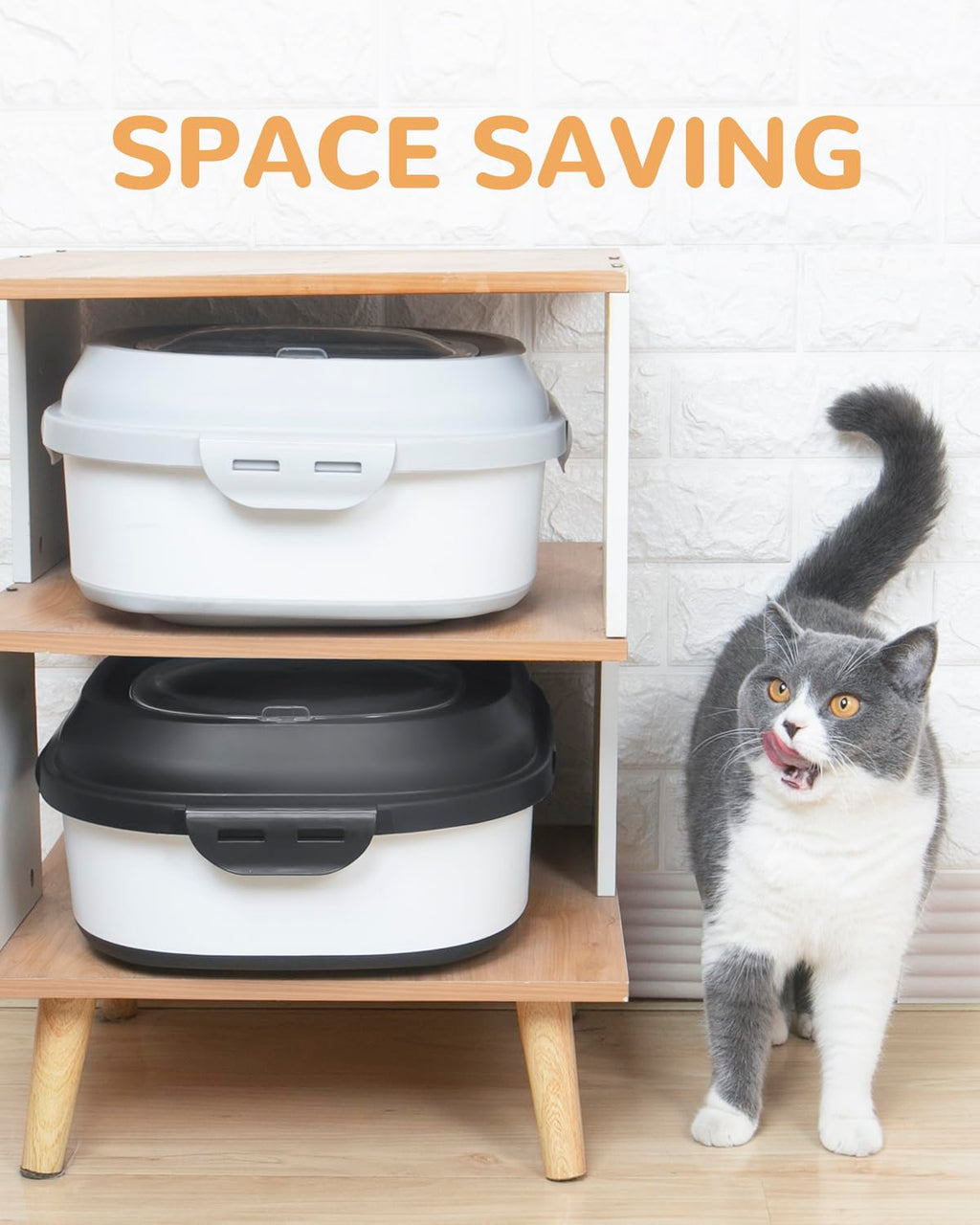 DDMOMMY dog food container