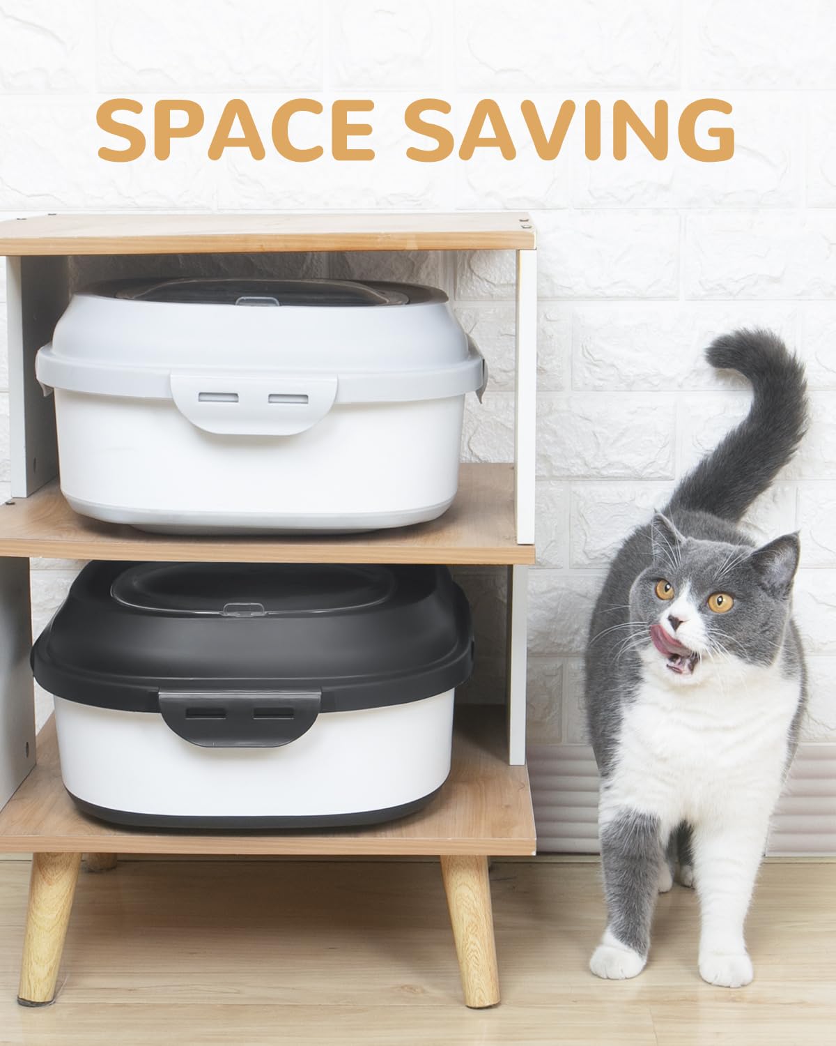 DDMOMMY dog food container
