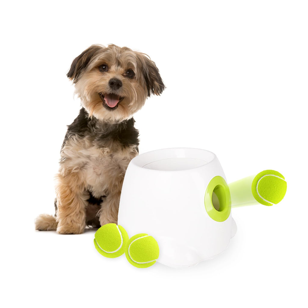 Interactive Automatic Dog Ball Launcher with 3 Balls