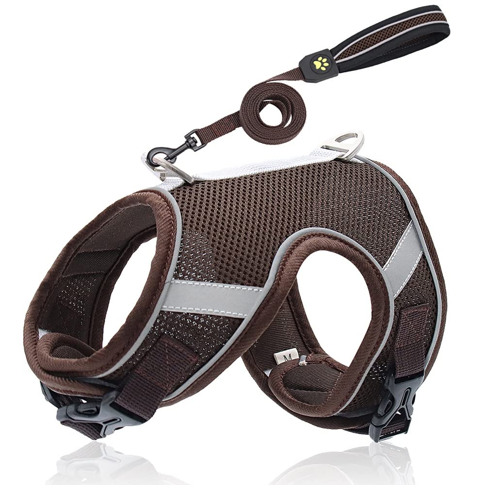 Reflective Breathable Mesh Dog Harness & Leash Set