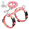 Printed Nylon Pet Harness & Leash Set