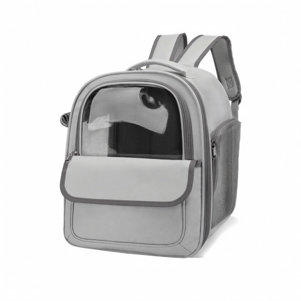 Structured Pet Carrier Backpack with Transparent Front Panel