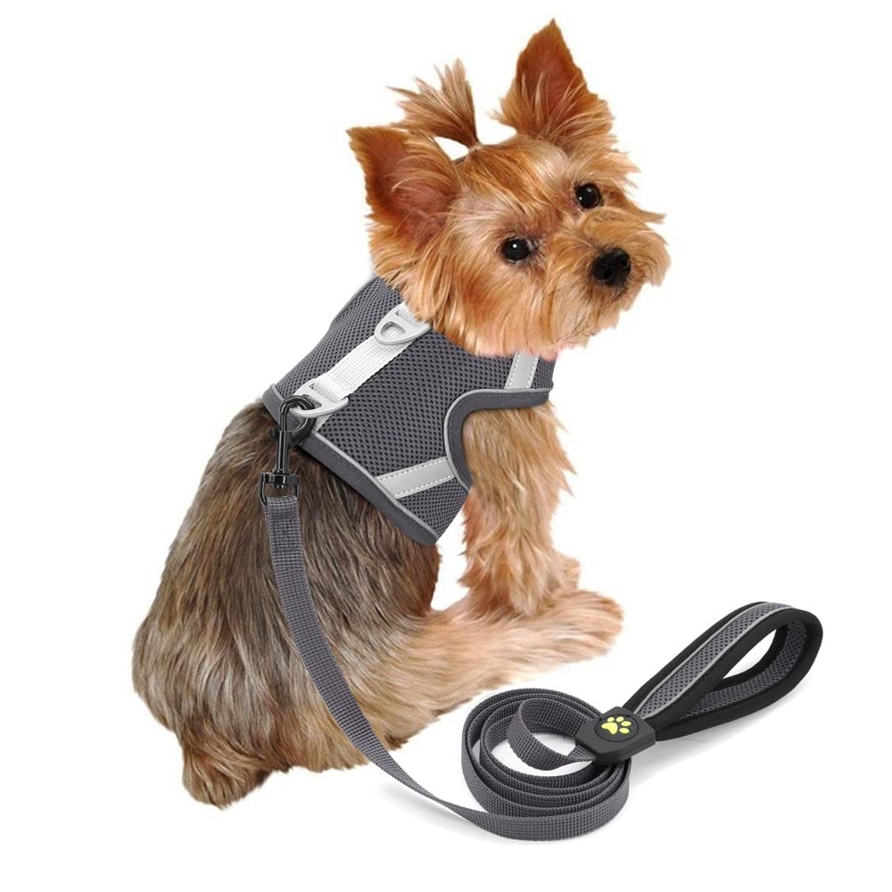 Reflective Breathable Mesh Dog Harness & Leash Set
