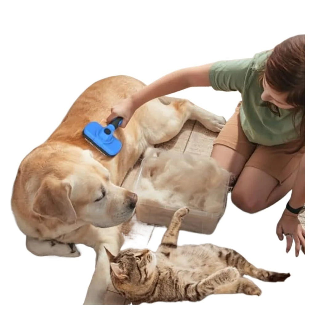 Self-Cleaning Slicker Brush for Dogs & Cats