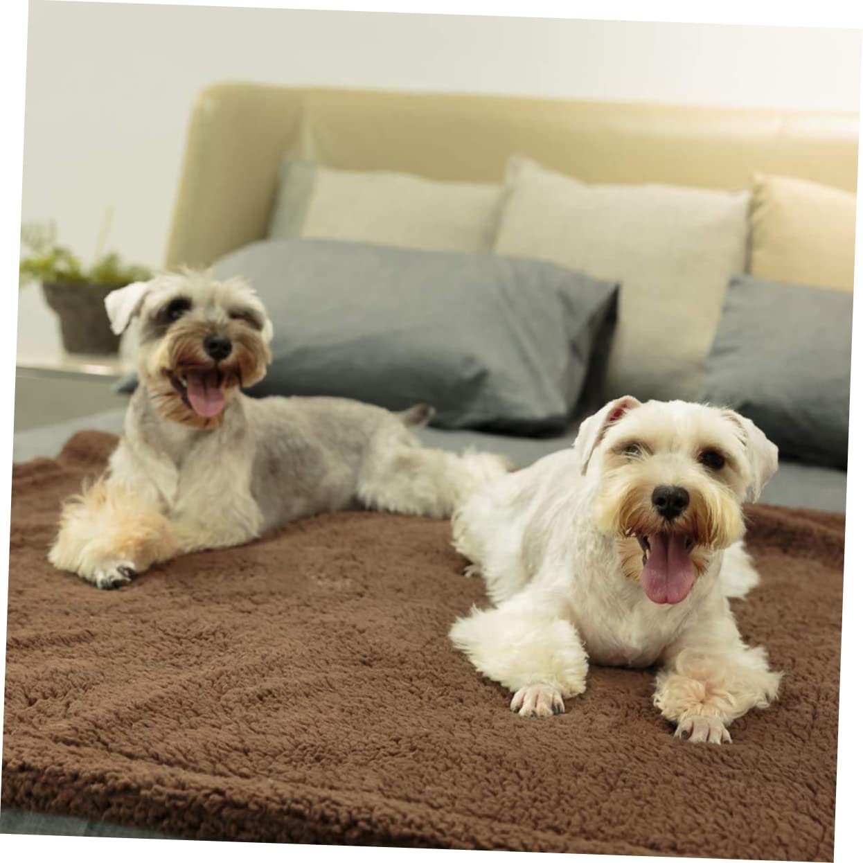 Happyyami Plush Pet Dog Blanket Cushion Sleep Mat L Coffee for Cats Dogs