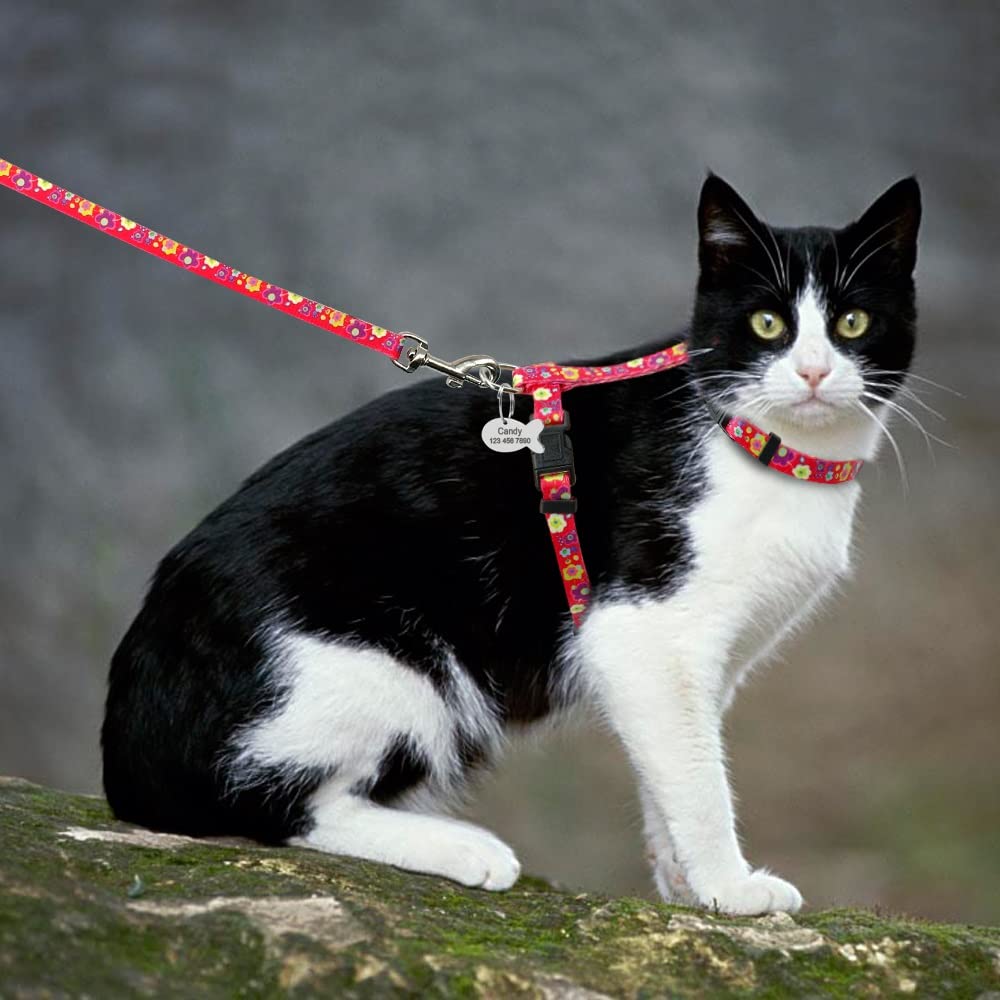 Printed Nylon Pet Harness & Leash Set