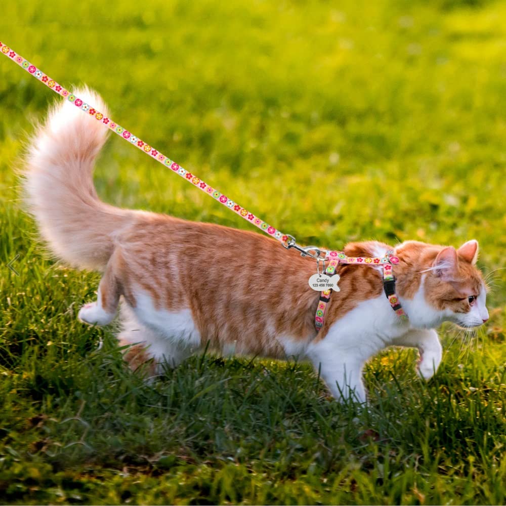 Printed Nylon Pet Harness & Leash Set