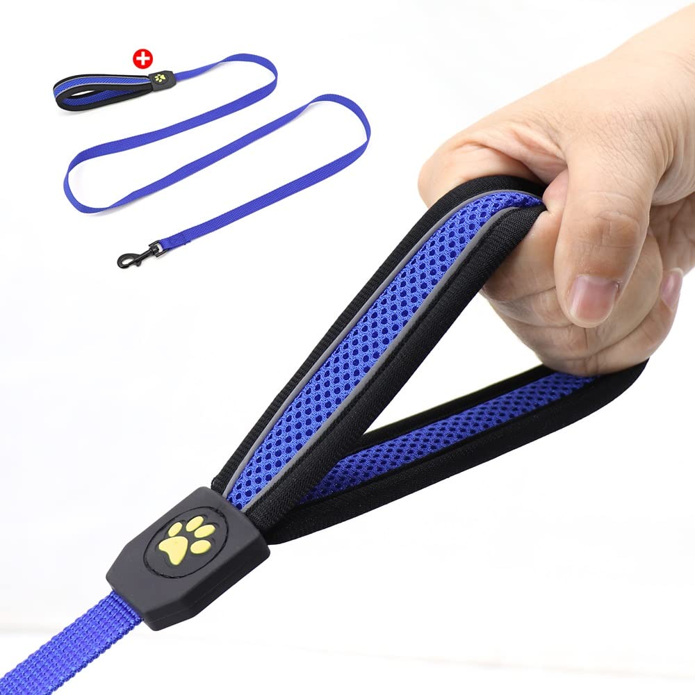 Reflective Breathable Mesh Dog Harness & Leash Set