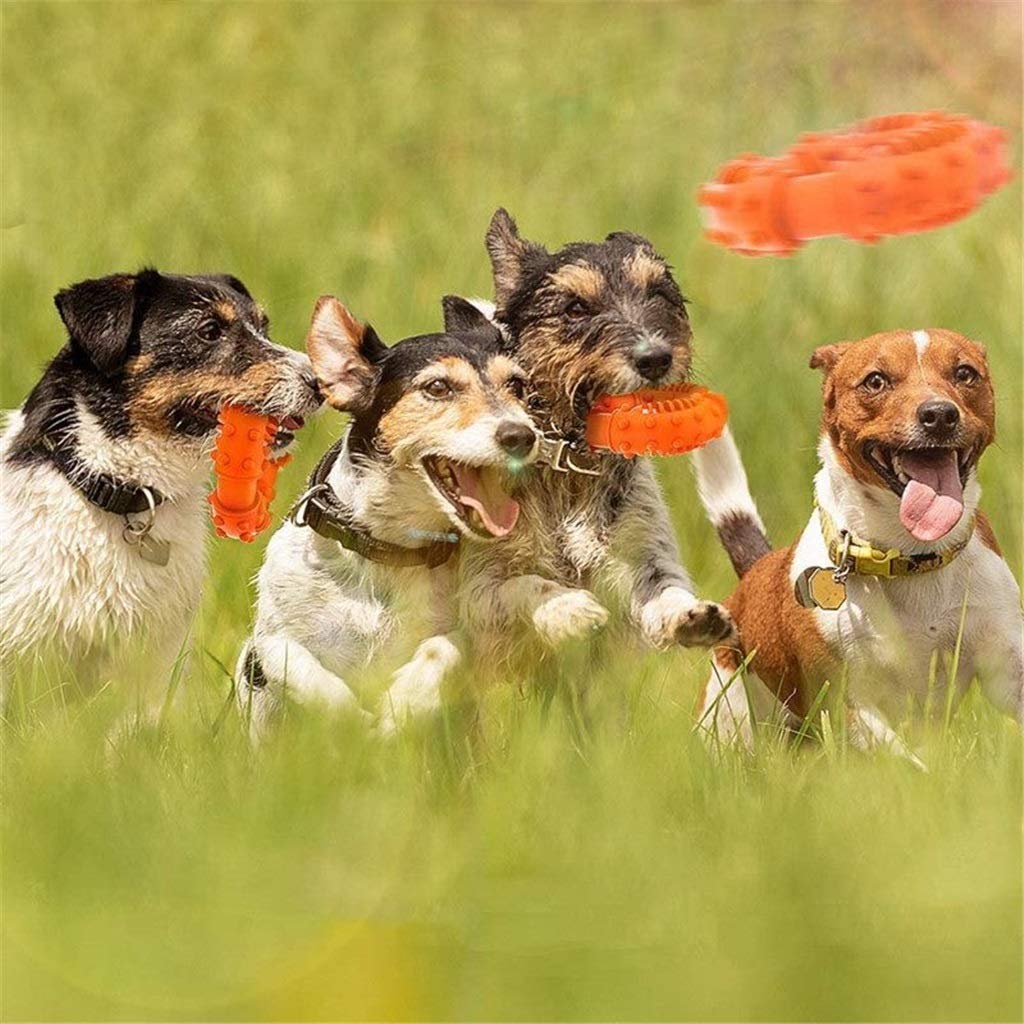 Durable Rubber Dog Chew Toy for Teeth Cleaning