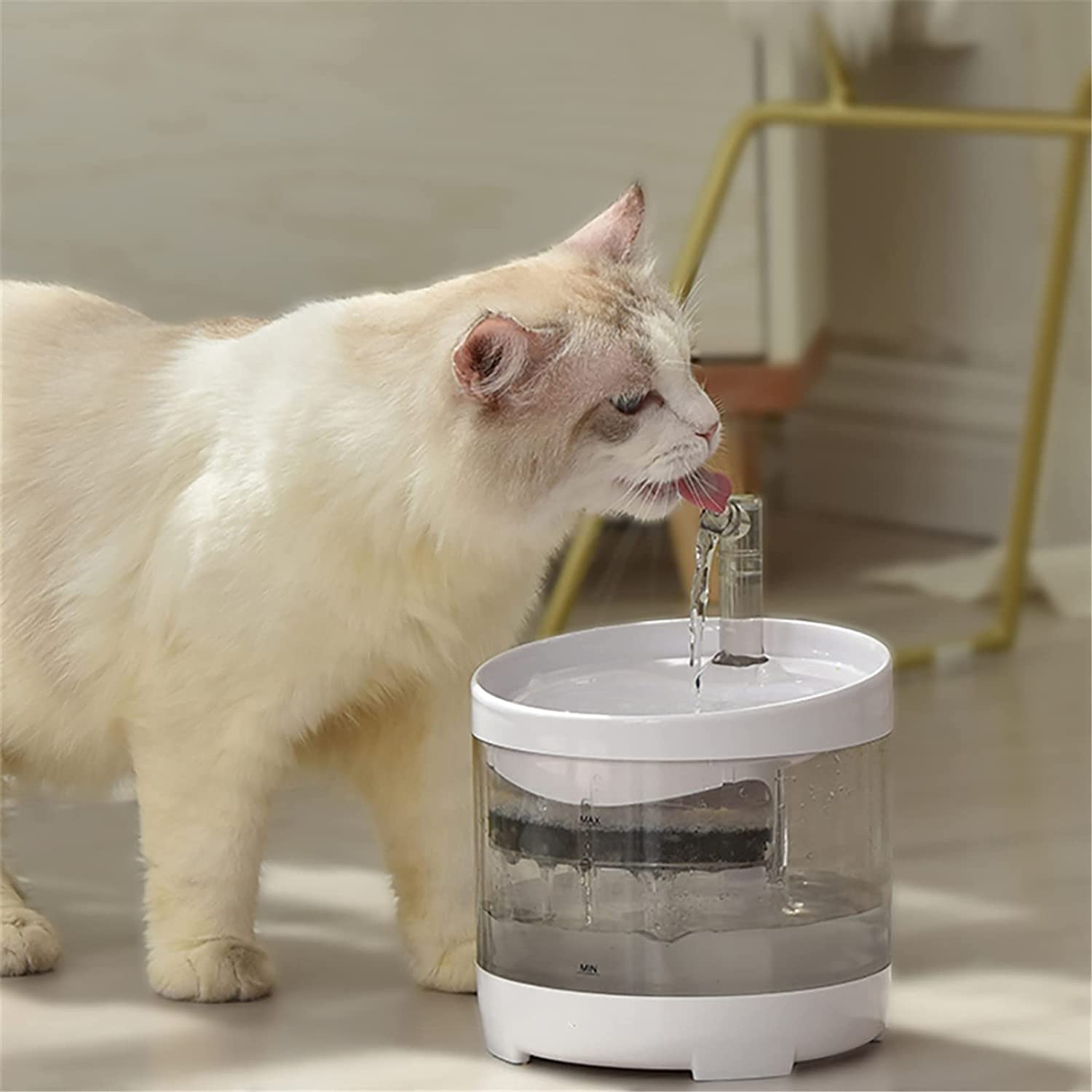 1.6L Automatic Pet Water Fountain with Faucet