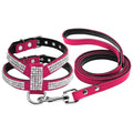 Rhinestone Leather Pet Harness & Leash Set