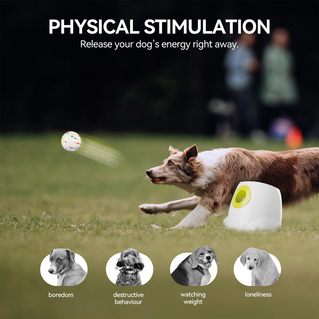 Interactive Automatic Dog Ball Launcher with 3 Balls