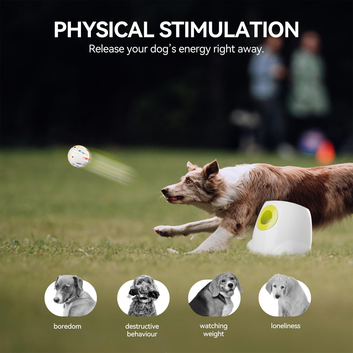 Interactive Automatic Dog Ball Launcher with 3 Balls