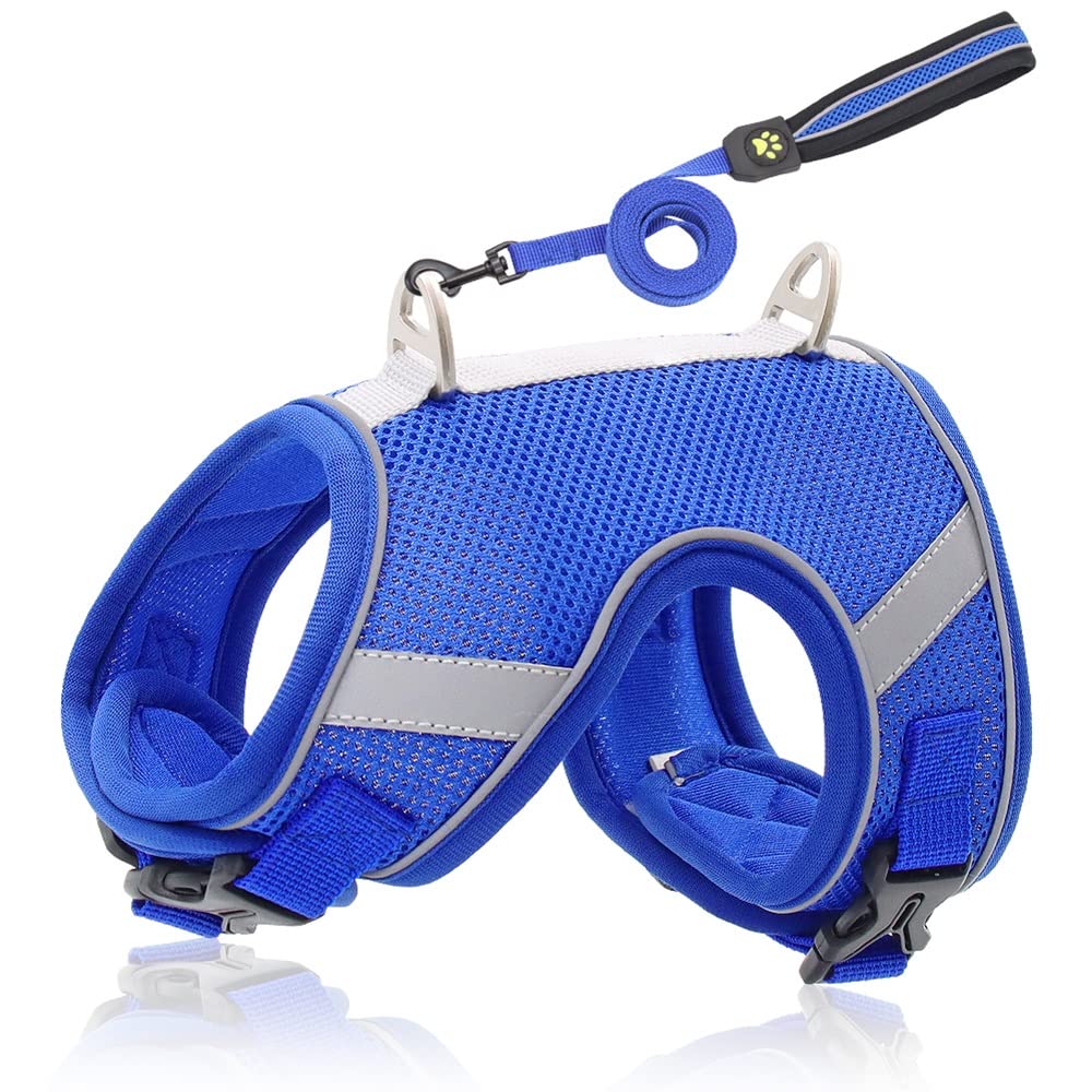 Reflective Breathable Mesh Dog Harness & Leash Set
