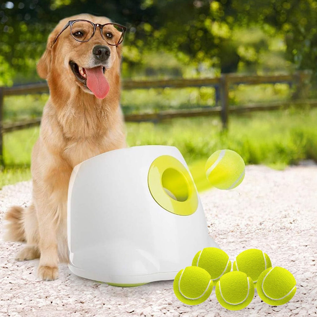 Interactive Automatic Dog Ball Launcher with 3 Balls