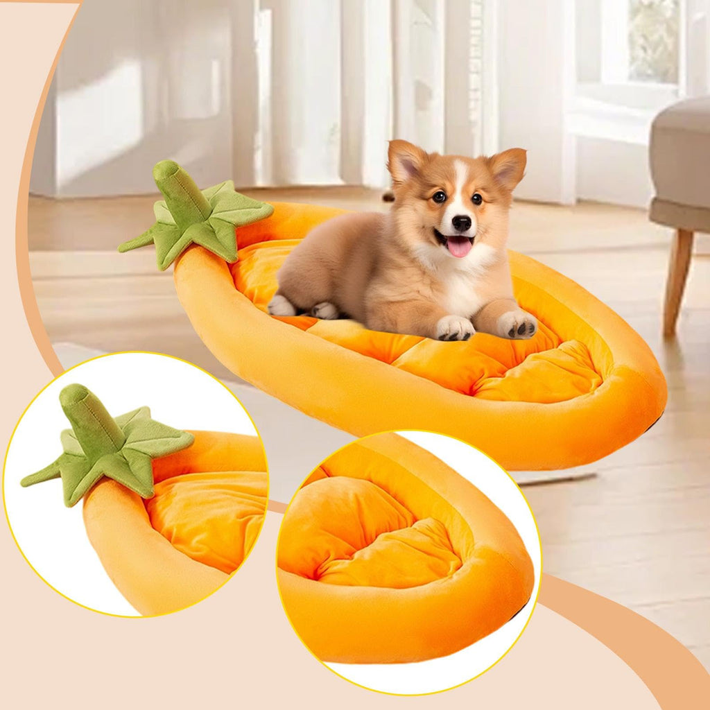 Soft Washable Pet Sofa Bed for Dogs & Cats