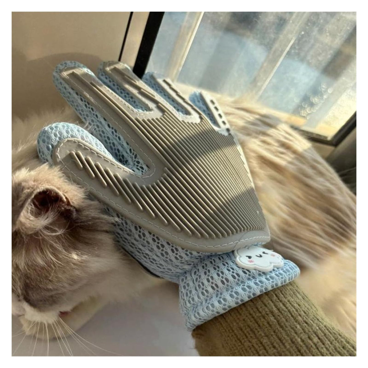 Two-Sided Silicone Pet Grooming & Bath Gloves