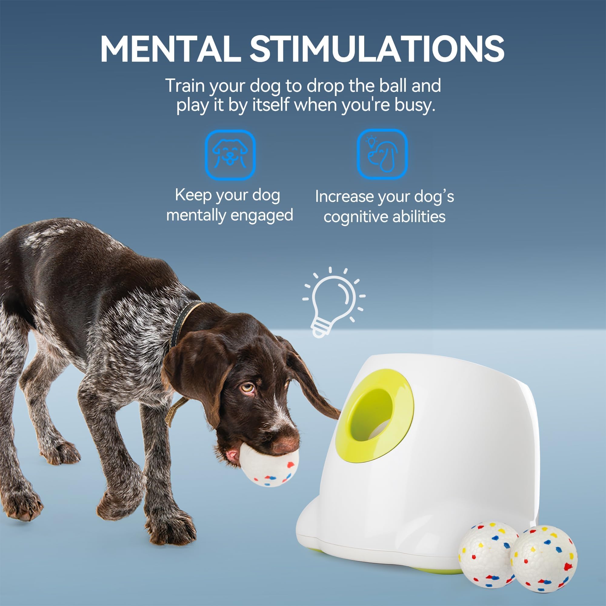 Interactive Automatic Dog Ball Launcher with 3 Balls